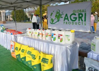 Ордабасыда ауыл шаруашылығы саласындағы табыс 3 млрд. теңгеге артты