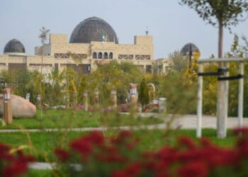 Түркістан қаласында күздік маусымда 120 мыңнан астам ағаш егіледі