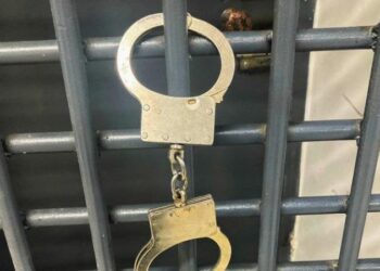 Шектеуі бар адамдарды үш мемлекетің шекарасынан өткізумен айналысқан қылмыстық топ ұсталды