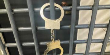 Шектеуі бар адамдарды үш мемлекетің шекарасынан өткізумен айналысқан қылмыстық топ ұсталды